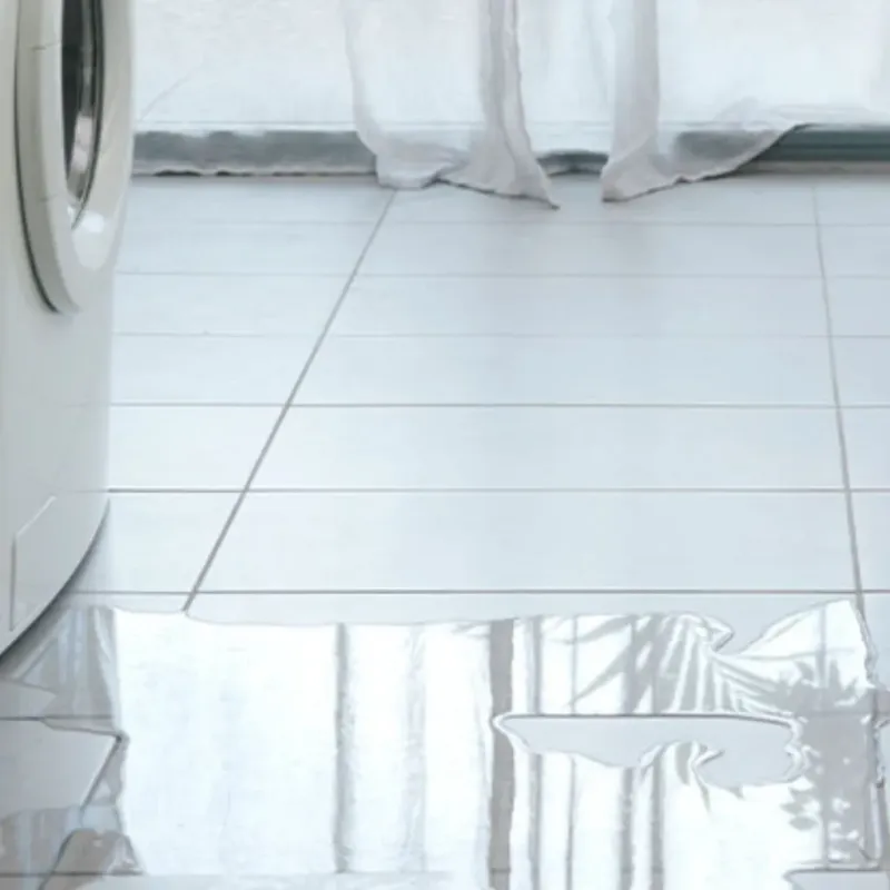 Appliance Leak Cleanup in Prairie County, AR