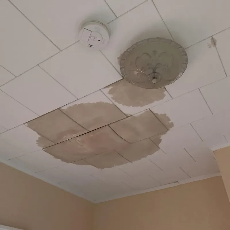Ceiling Water Damage Repair in Prairie County, AR