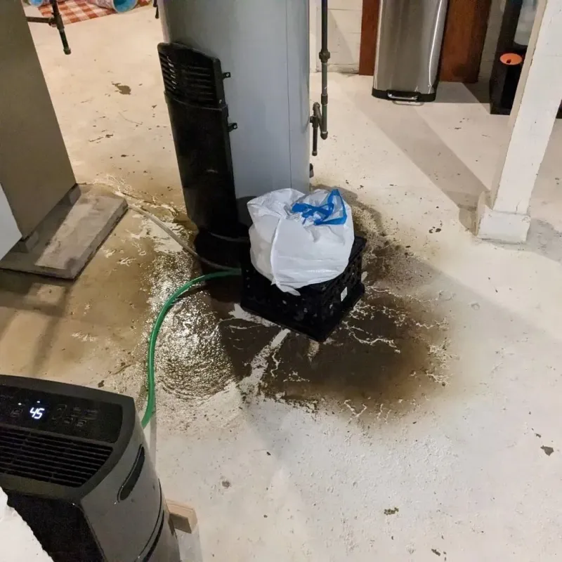Sewage Backup Cleanup Service in Prairie County, AR